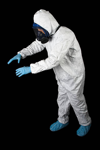 Best Mold Damage Restoration  in Nemacolin, PA