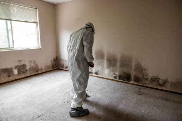Best Mold Remediation for Healthcare Facilities  in Nemacolin, PA